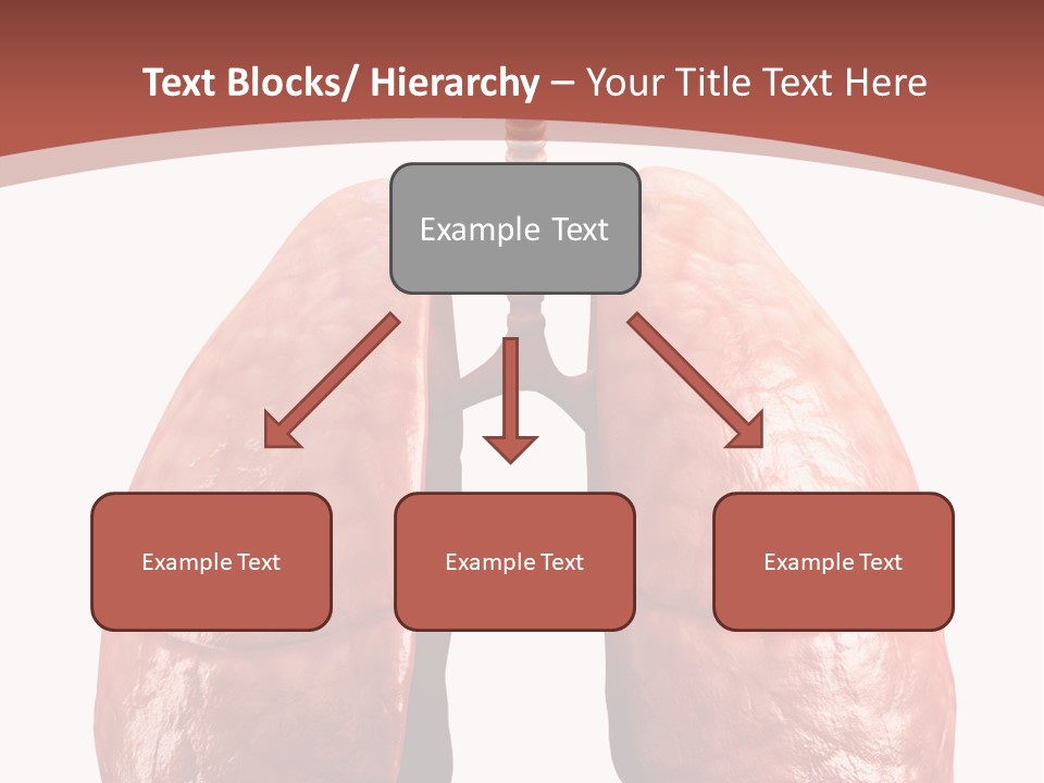 Illustration Colorful Close Up PowerPoint Template