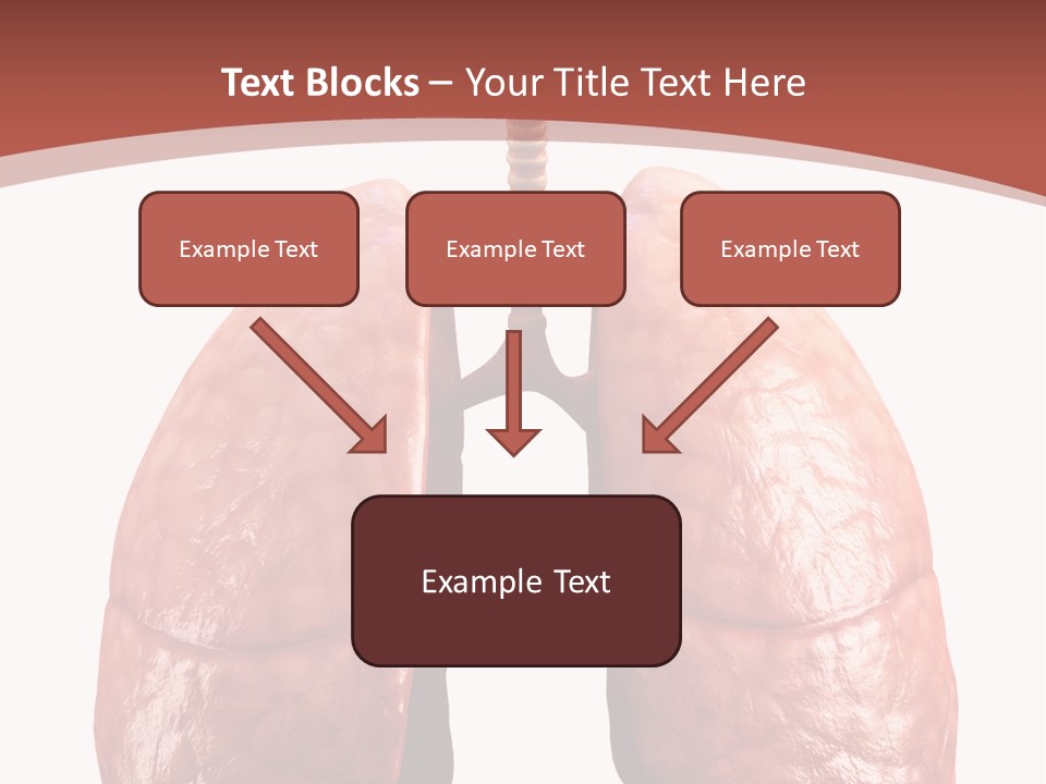 Illustration Colorful Close Up PowerPoint Template
