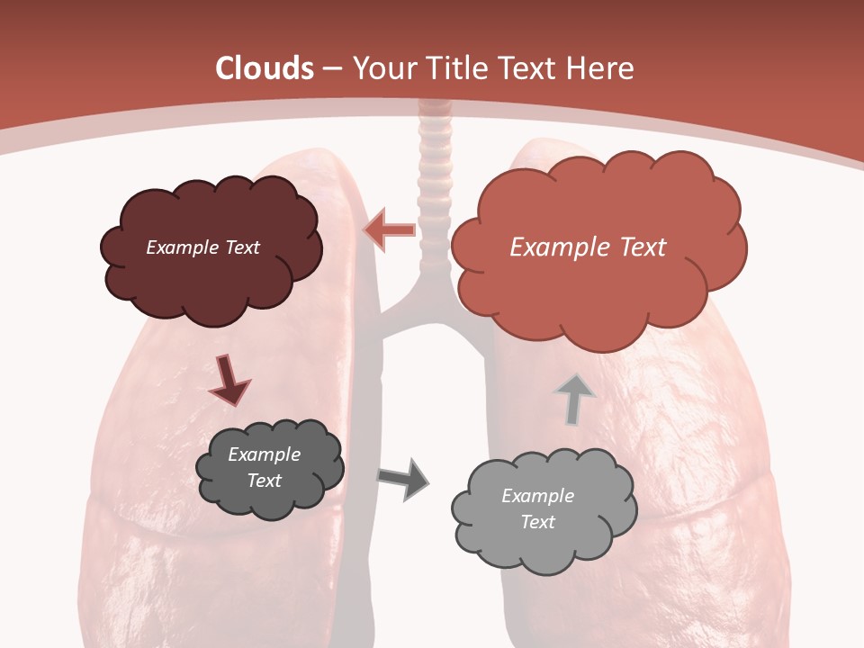 Illustration Colorful Close Up PowerPoint Template