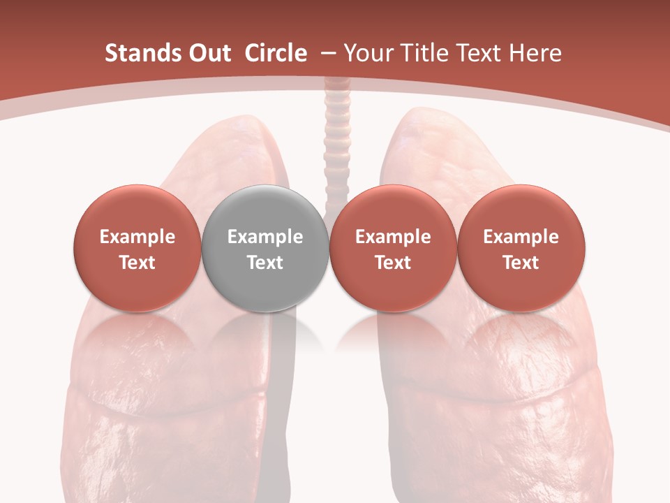 Illustration Colorful Close Up PowerPoint Template