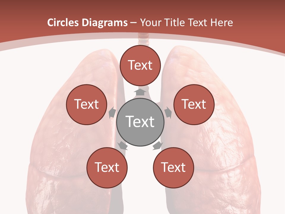 Illustration Colorful Close Up PowerPoint Template