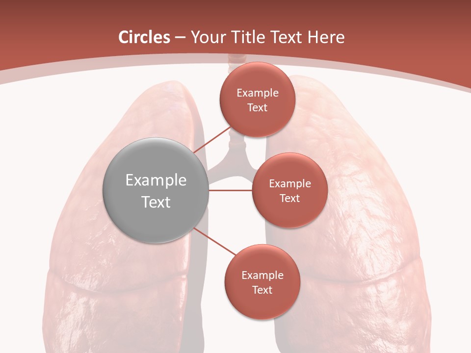 Illustration Colorful Close Up PowerPoint Template