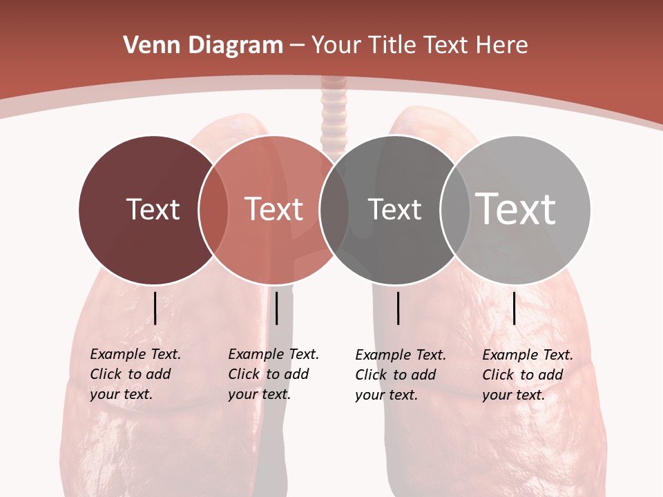 Illustration Colorful Close Up PowerPoint Template