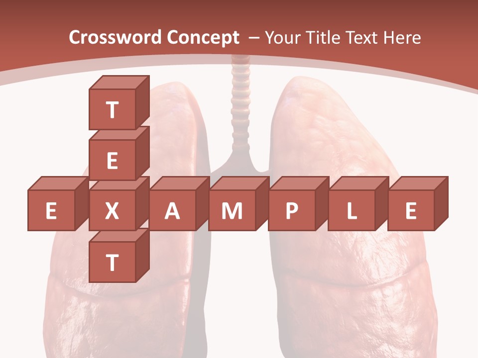 Illustration Colorful Close Up PowerPoint Template