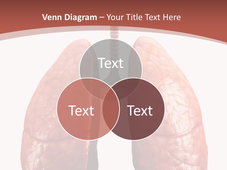 Illustration Colorful Close Up PowerPoint Template
