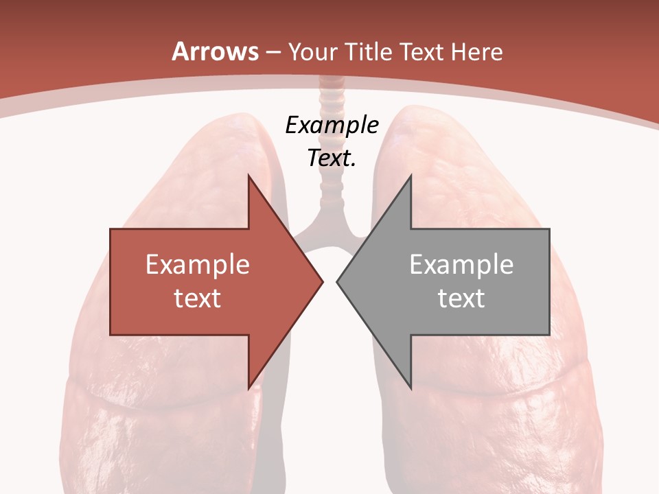 Illustration Colorful Close Up PowerPoint Template