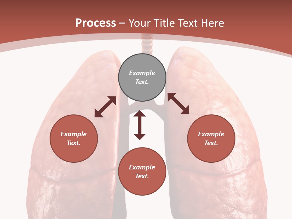 Illustration Colorful Close Up PowerPoint Template