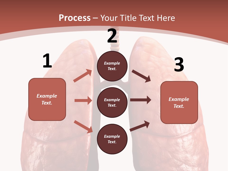 Illustration Colorful Close Up PowerPoint Template