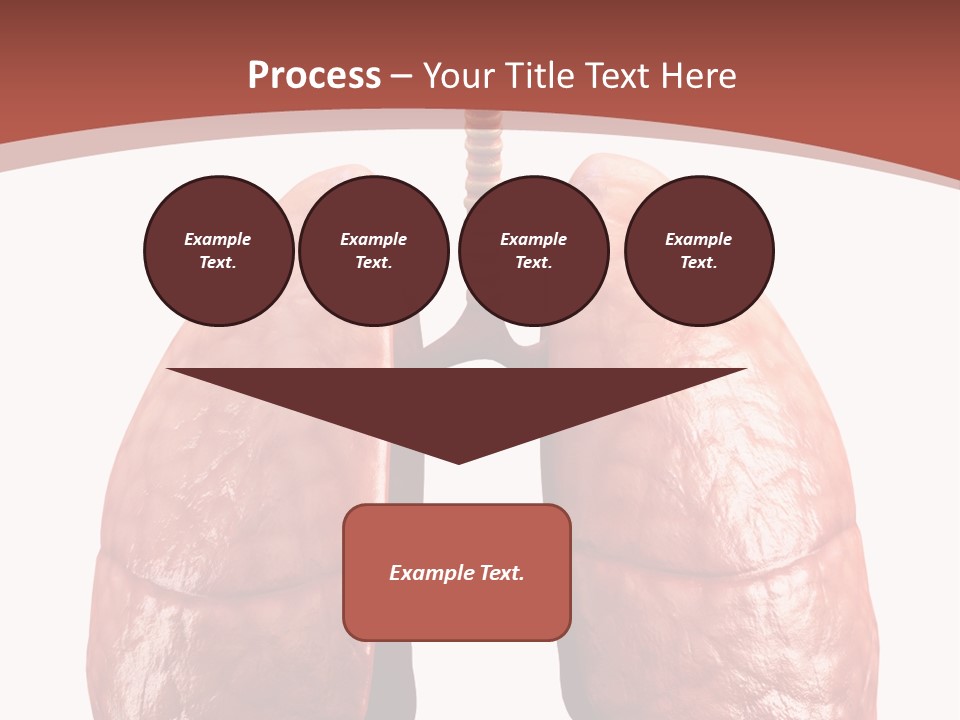 Illustration Colorful Close Up PowerPoint Template