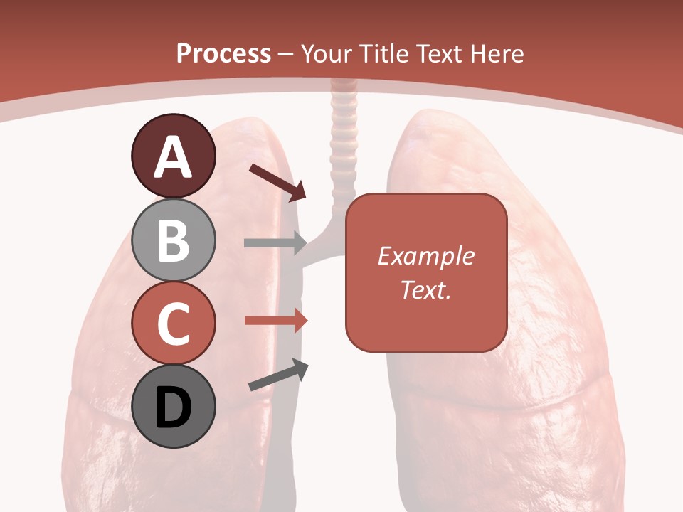 Illustration Colorful Close Up PowerPoint Template
