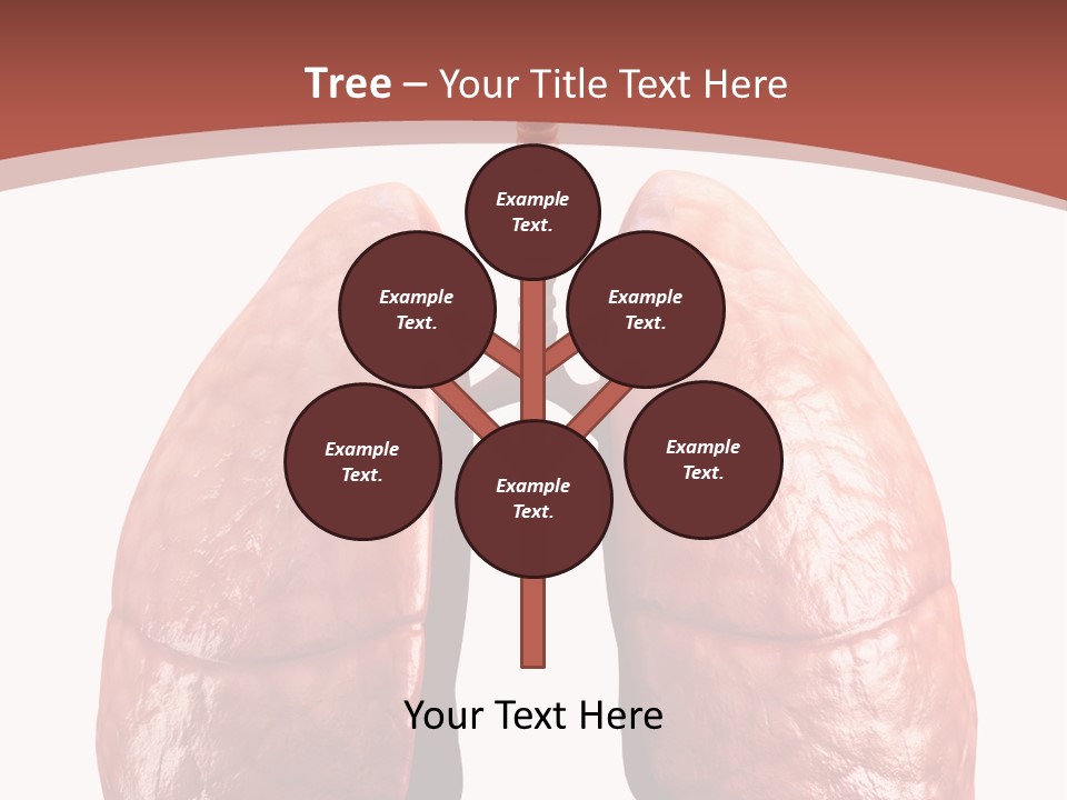 Illustration Colorful Close Up PowerPoint Template