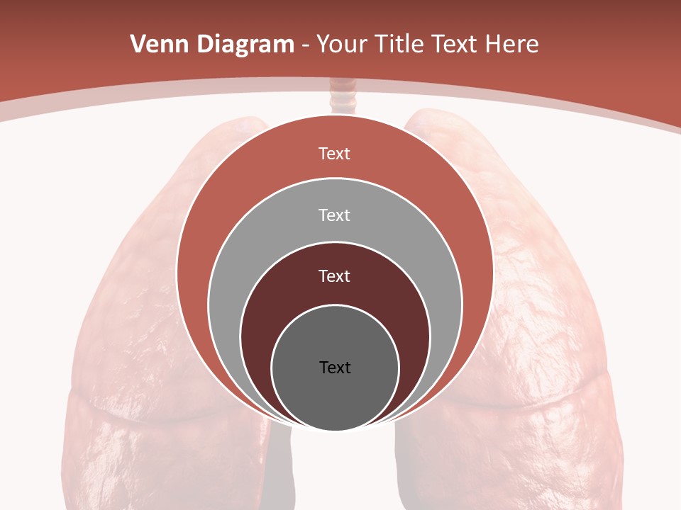 Illustration Colorful Close Up PowerPoint Template