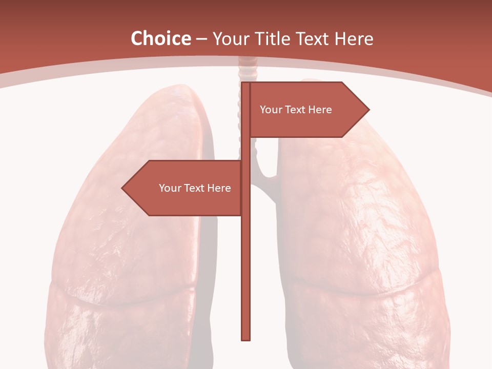 Illustration Colorful Close Up PowerPoint Template