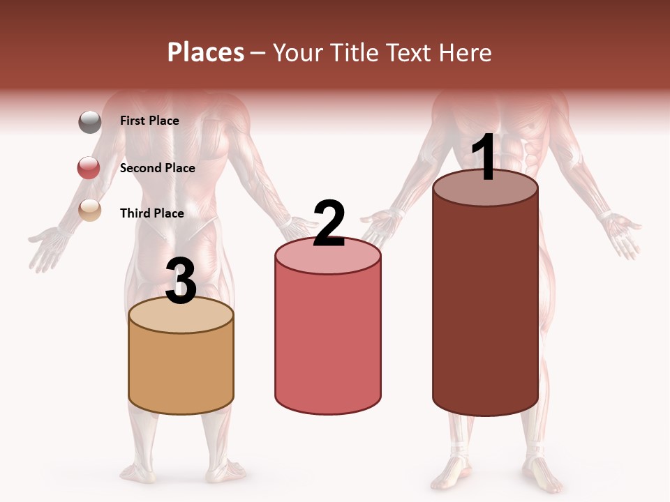 Muscle Angle System PowerPoint Template
