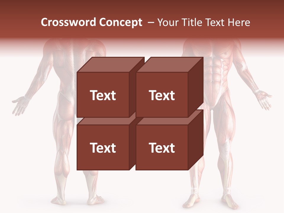 Muscle Angle System PowerPoint Template