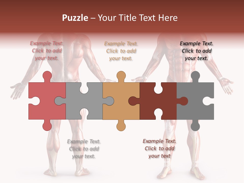 Muscle Angle System PowerPoint Template
