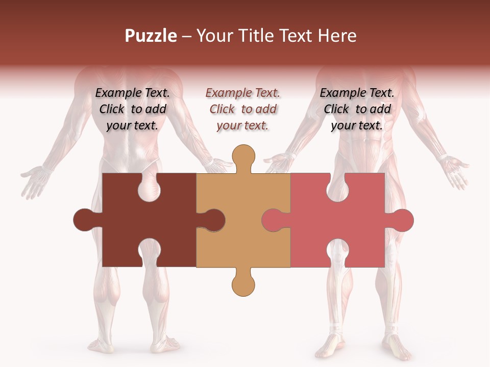 Muscle Angle System PowerPoint Template