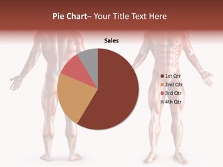 Muscle Angle System PowerPoint Template