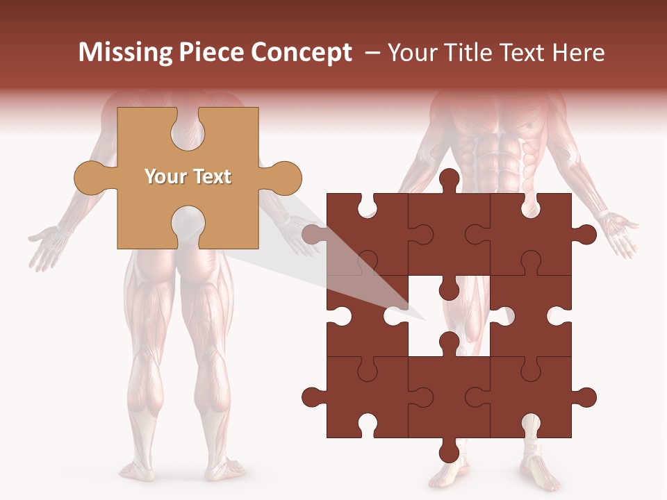 Muscle Angle System PowerPoint Template