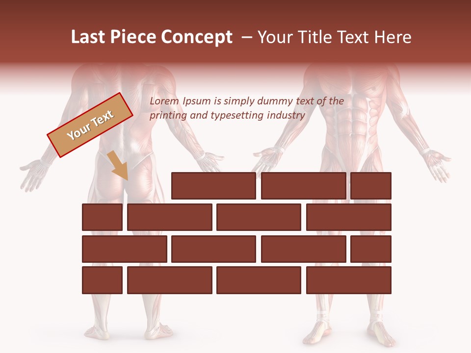 Muscle Angle System PowerPoint Template