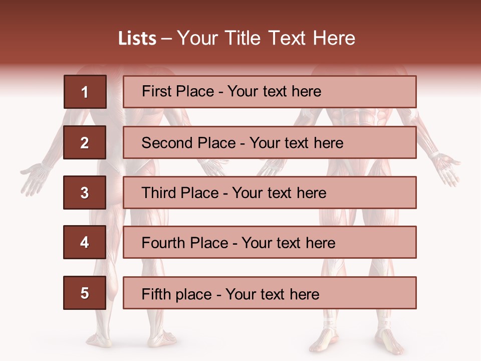 Muscle Angle System PowerPoint Template