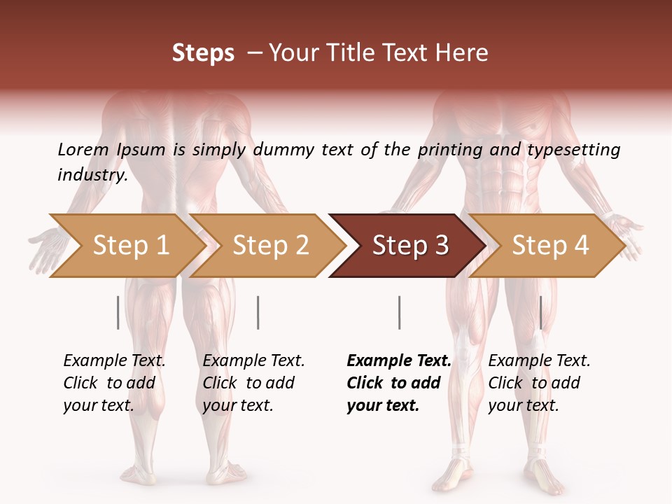 Muscle Angle System PowerPoint Template