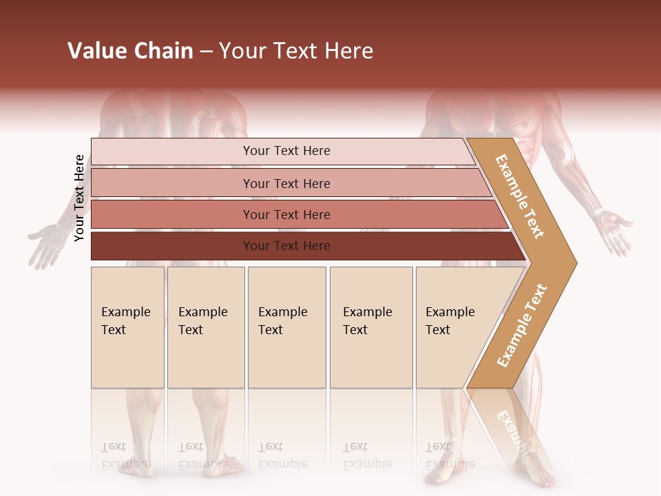 Muscle Angle System PowerPoint Template