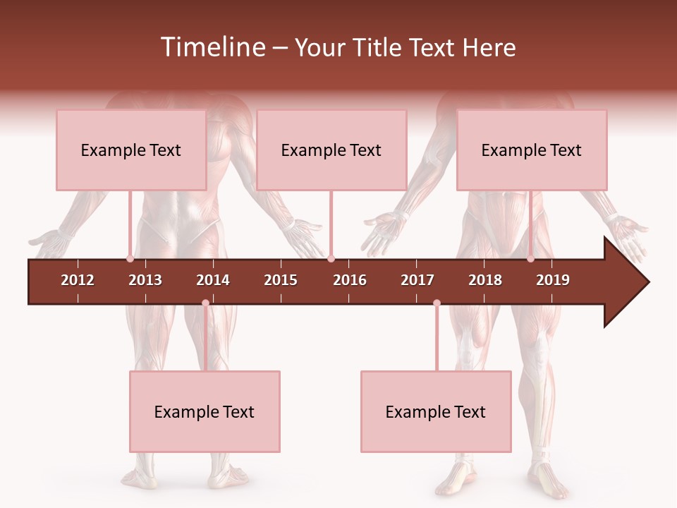 Muscle Angle System PowerPoint Template
