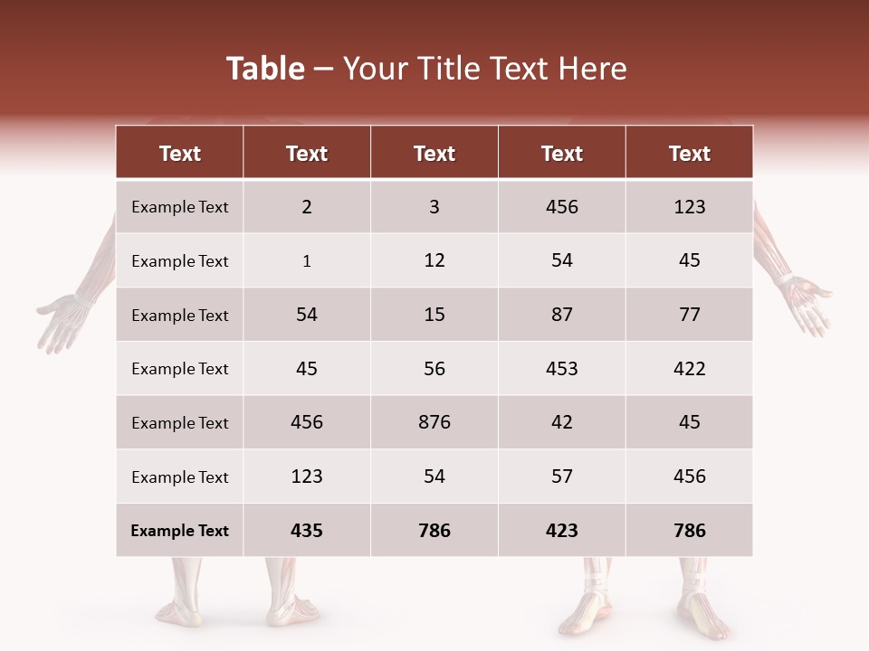 Muscle Angle System PowerPoint Template