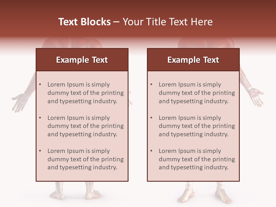 Muscle Angle System PowerPoint Template