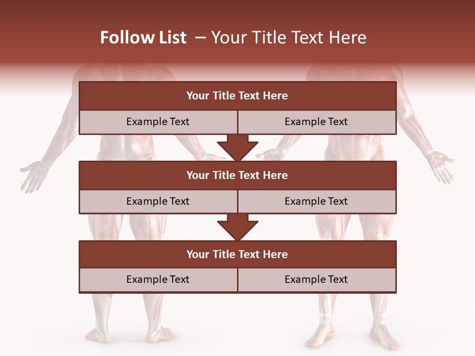 Muscle Angle System PowerPoint Template
