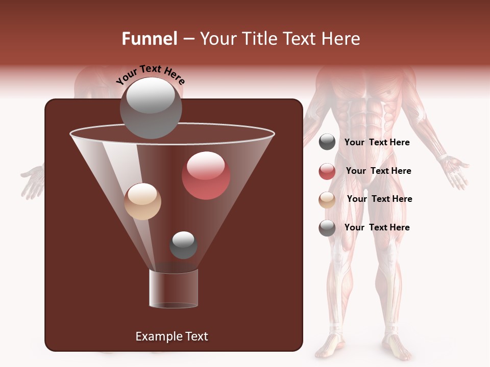 Muscle Angle System PowerPoint Template