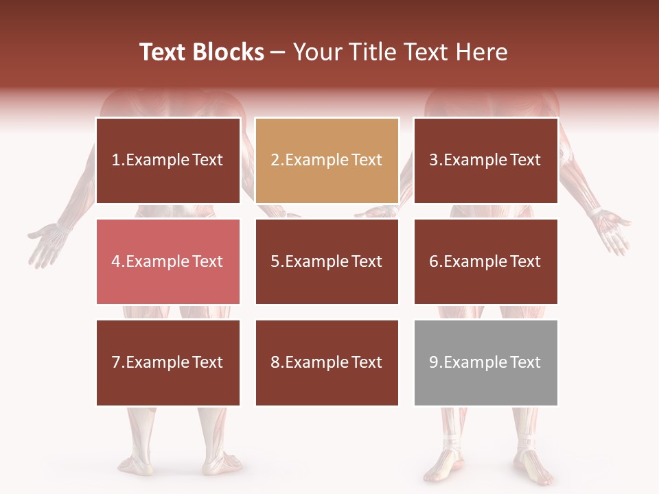 Muscle Angle System PowerPoint Template