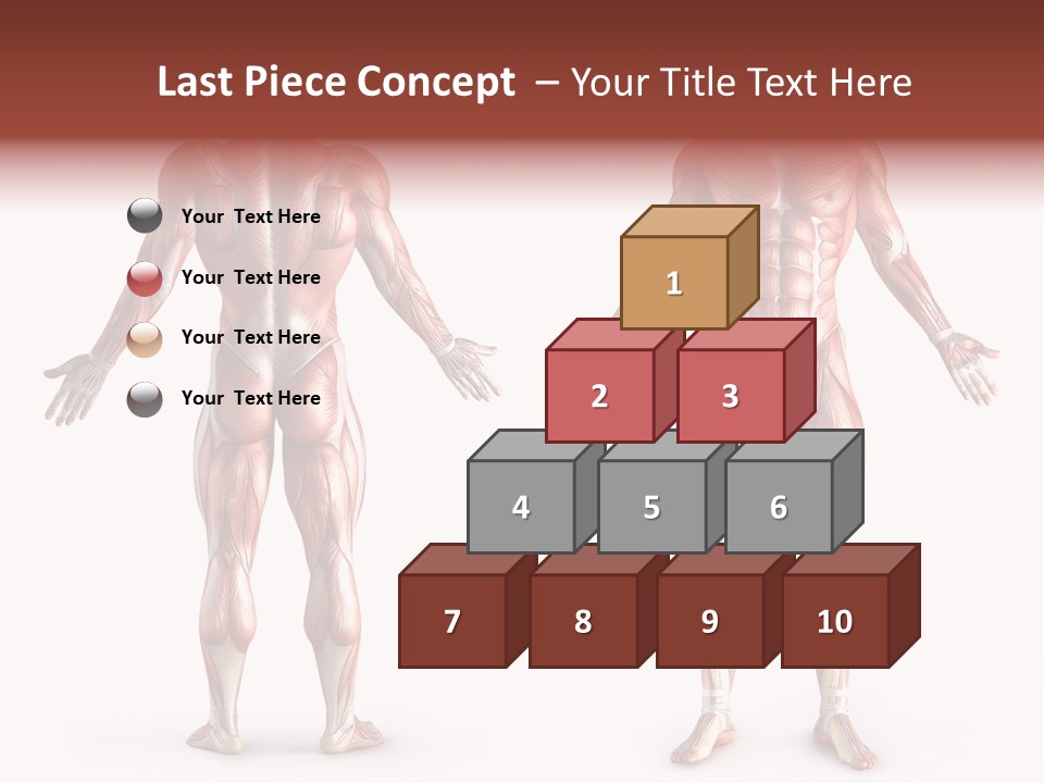 Muscle Angle System PowerPoint Template