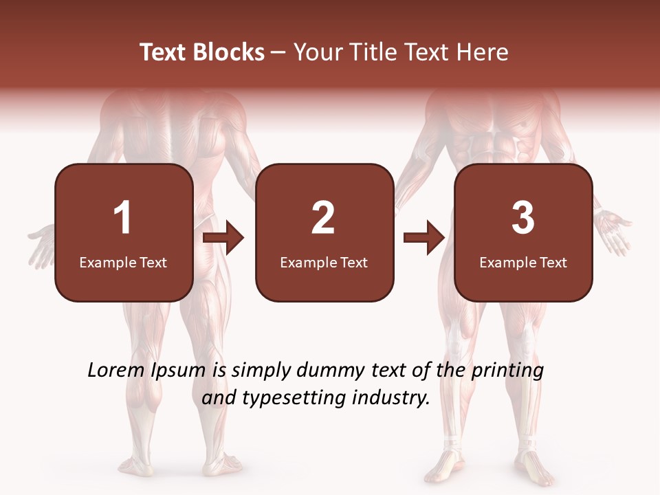 Muscle Angle System PowerPoint Template