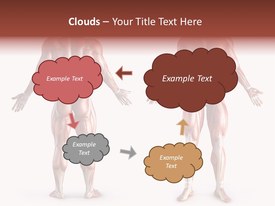 Muscle Angle System PowerPoint Template