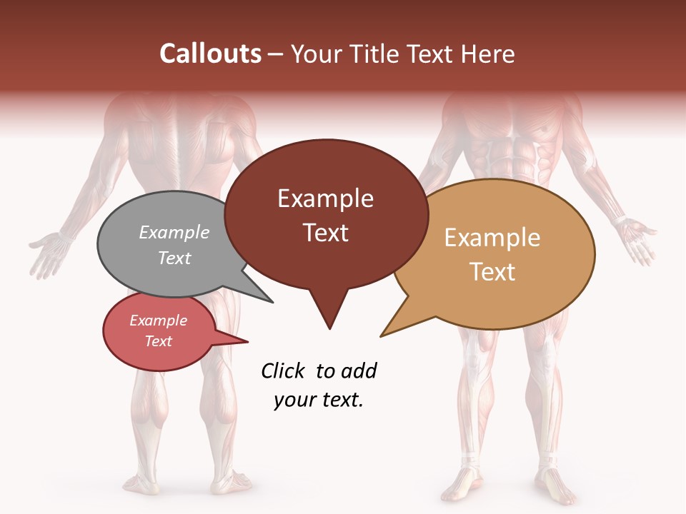 Muscle Angle System PowerPoint Template