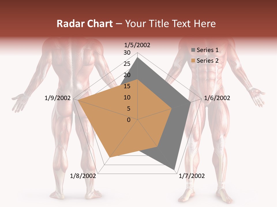 Muscle Angle System PowerPoint Template