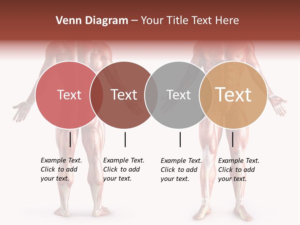 Muscle Angle System PowerPoint Template