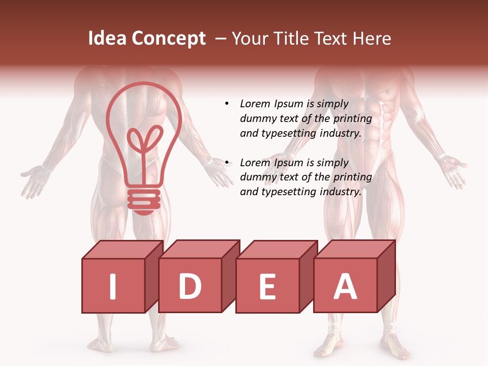 Muscle Angle System PowerPoint Template