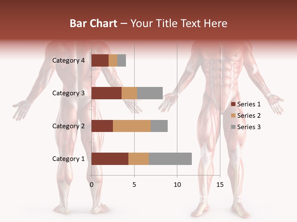 Muscle Angle System PowerPoint Template