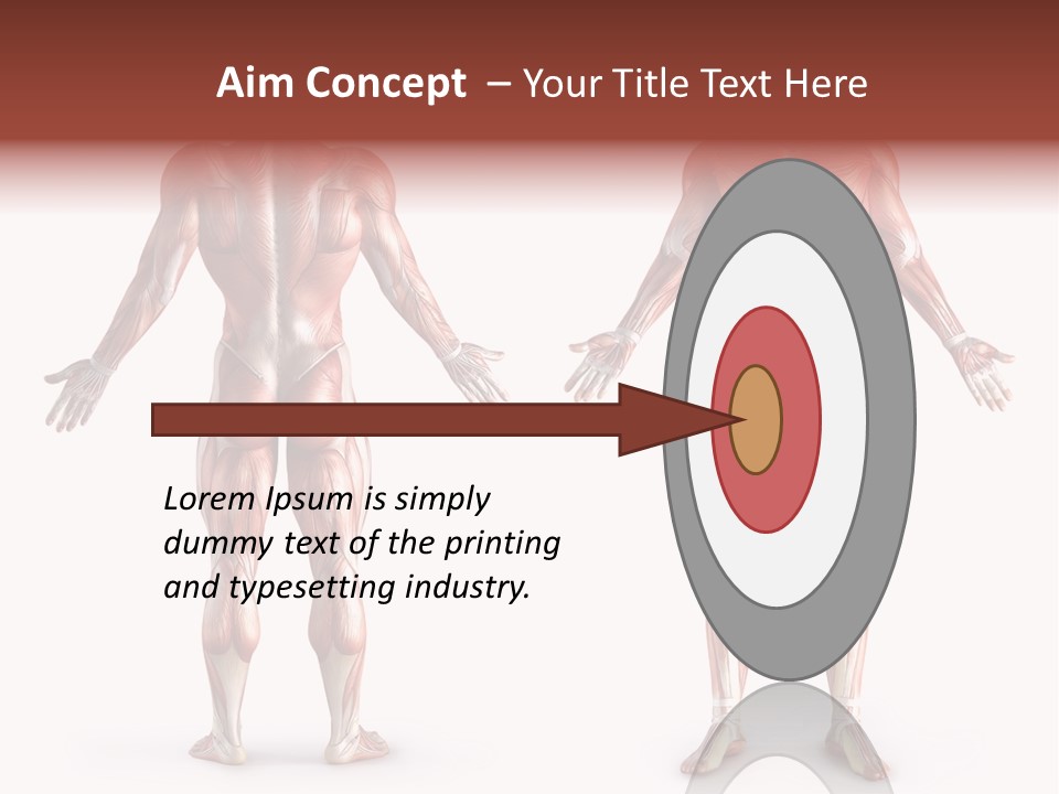 Muscle Angle System PowerPoint Template