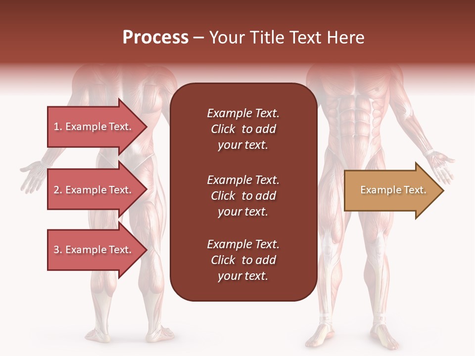 Muscle Angle System PowerPoint Template