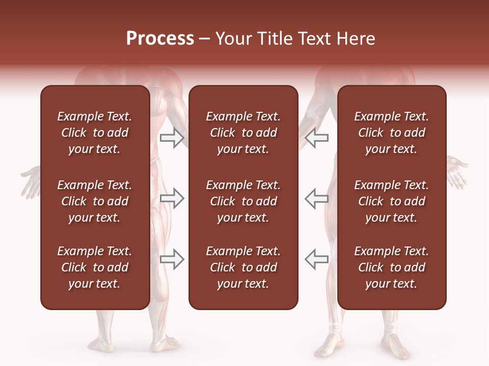 Muscle Angle System PowerPoint Template
