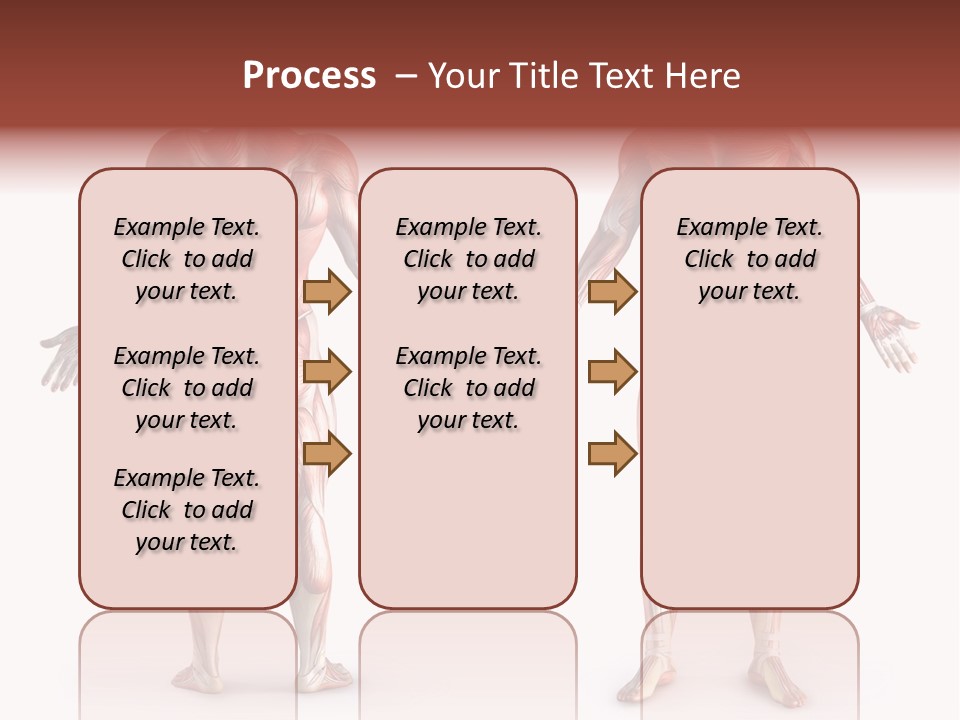 Muscle Angle System PowerPoint Template