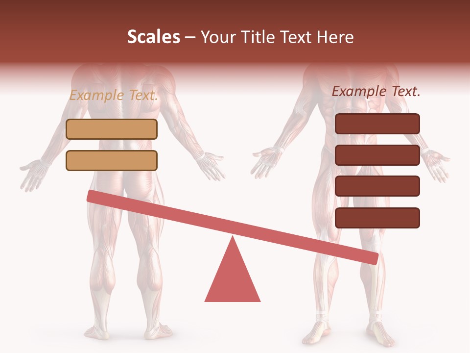 Muscle Angle System PowerPoint Template
