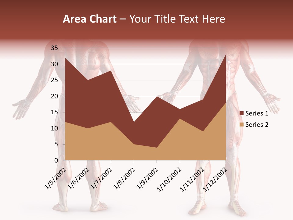 Muscle Angle System PowerPoint Template