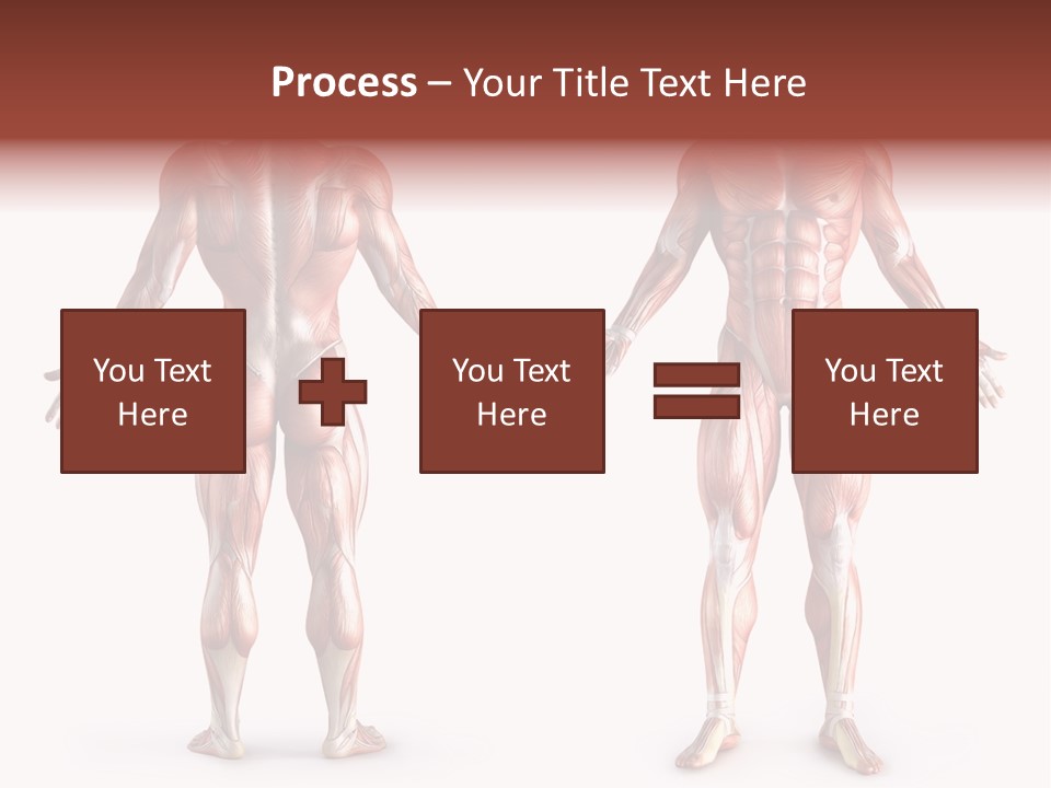 Muscle Angle System PowerPoint Template