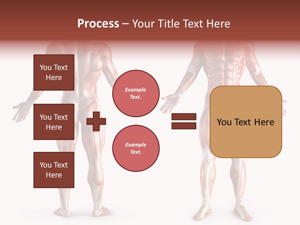 Muscle Angle System PowerPoint Template