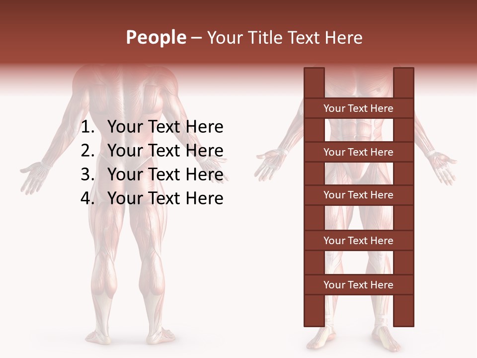 Muscle Angle System PowerPoint Template